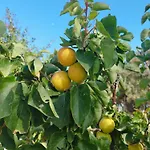 Nel Cuore Di Milos * Zefiría