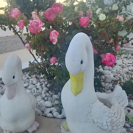 Nel Cuore Di Milos 別荘